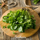 Watercress (Nasturtium Officinale) - 200 Seeds - Southern Seed Exchange