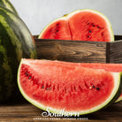 Watermelon, All Sweet (Citrullus lanatus) - 25 Seeds - Southern Seed Exchange