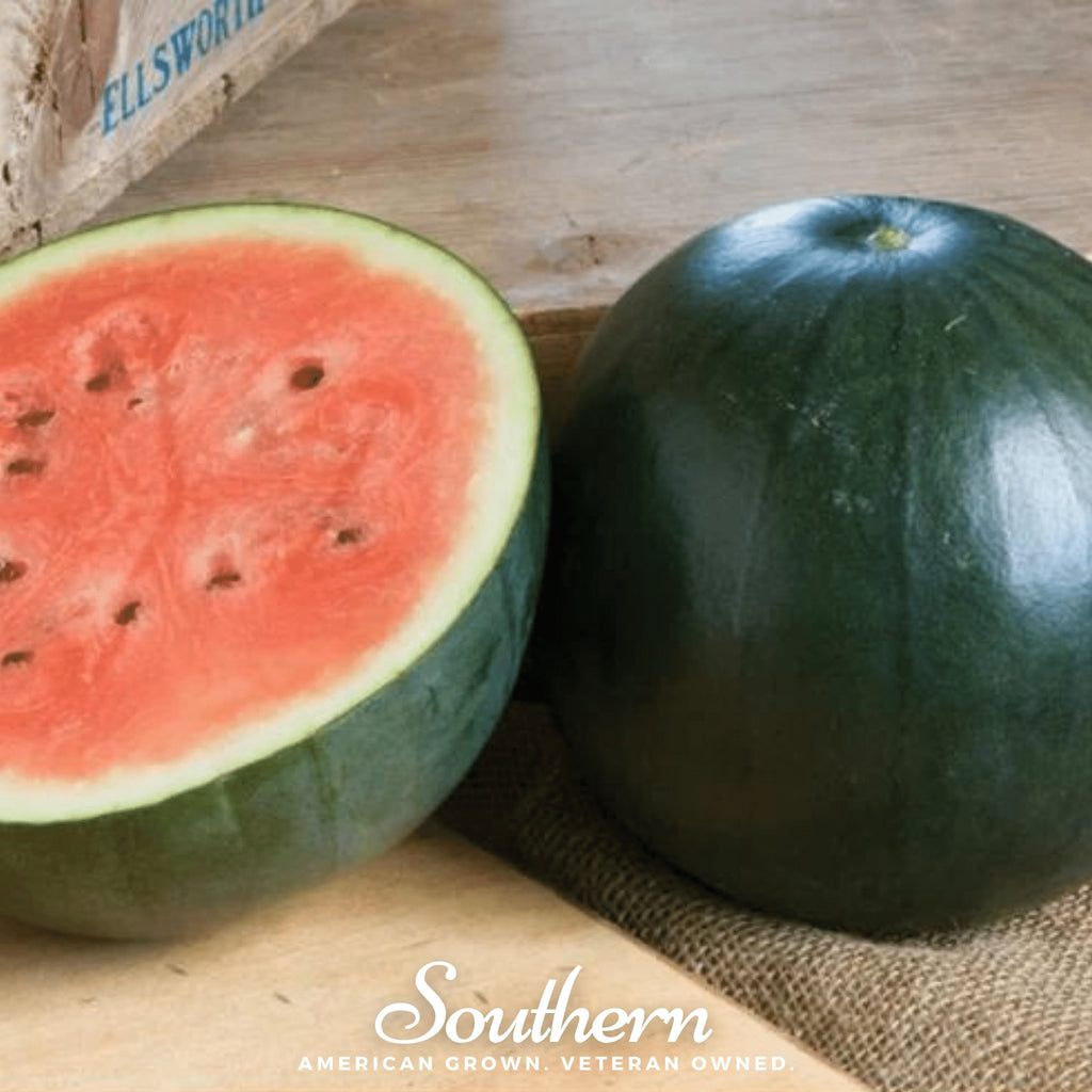 Watermelon, Sugar Baby (Citrullus lanatus) - 25 Seeds - Southern Seed Exchange
